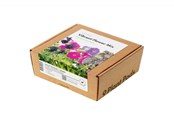 Gadget - Click & Grow Smart Garden Refill 9-pack Vibrant Flower Mix - PPMVBX9