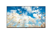 Digital skiltning & Hotel - LG 65UM767H0LJ UM767H Series - 65" - Pro:Centric with Integrated Pro:Idiom LED-backlit LCD TV - 4K - for hotel / hospitality - 65UM767H0LJ
