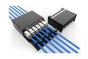 Netværkstilbehør - DIGITUS consolidation point box - keystone modules with intelligent cable manager - DN-93708-6