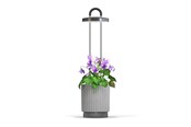 Haveredskaber - Click & Grow HydroVase Indoor Plant Care Kit with LED Light Self-Watering and Automatic Timer - Gray - CGHVGEU