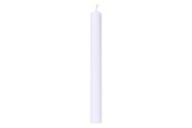 Boligindretning - Asp-Holmblad Festlys/Jættelys White - 5406