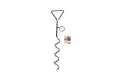 Hunde - Pawise - spiral stake 40cm - 888656751501