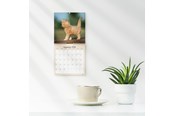 Calendar - Mayland Vægkalender mini Kattekillinger 2026 - 26066400