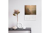 Calendar - Mayland Vægkalender Verdens dyr 2026 - 26066330