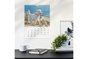 Calendar - Mayland Vægkalender Hunde 2026 - 26066320
