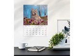 Calendar - Mayland Vægkalender Katte 2026 - 26066300