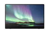 Skærm - 15.6" Ricoh 150 - 1920x1080 (FHD) - 60Hz - OLED - 45W USB-C - 514909