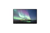 Skærm - 15.6" Ricoh 150BW - OLED monitor - Full HD (1080p) - 514910