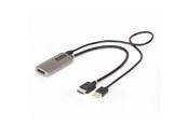 Skærmkabel - StarTech.com HDMI to DisplayPort Adapter 8K 60Hz Active Video Converter - adapter cable - 30 cm - 148B-HDMI-DP-8K