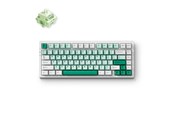 Tastatur - MCHOSE G75 Pro Wireless Gasket Mounted - Green - Gaming Tastatur - Uden Numpad - Amerikansk engelsk - Grøn - G75-9A