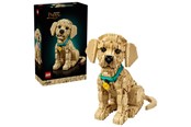 LEGO®  - LEGO Icons 11384 Golden retriever-hvalp - 11384