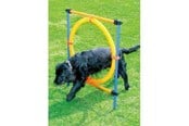 Hunde - Pawise - Agility Ring 55Cm - 636.9004