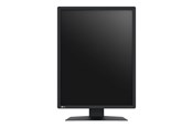 Skærm - 21" EIZO RadiForce MX217-SB - 1200x1600 - IPS - MX217-SB