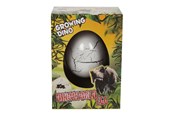 Figur - Pocket Money Growing Dinosaur Egg 6cm - assorted - 620370