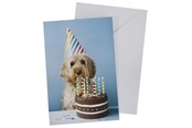 Hobby artikler - SCANSEASON Kort m. konvolut hund m. lagkage 11*17cm - 100253