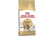 Katte - Royal Canin Bengal Adult 2kg - 3182550864091