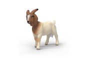 Schleich - Schleich Boer-ged - 14929