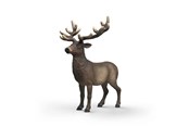 Schleich - Schleich Elg - 14992