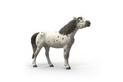 Schleich - Schleich Knabstrupper vallak - 14916