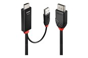 Skærmkabel - Lindy adapter cable - 3 m - 41500