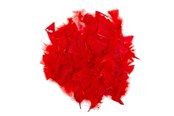 Kreativitet & Hobbyartikler - Colorations - Red Feathers 25 grams - CHREDF25