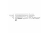 Tastatur - Keychron PBT Full Keycap Set Classic Piano - Keycaps - Nordisk - Hvid - PBT-114-BO