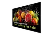 Digital skiltning & Hotel - Philips 98BDL5050D 5000 Series - 98" Class (97.5" viewable) LED-backlit LCD display - 4K - for digital signage - 98BDL5050D/00