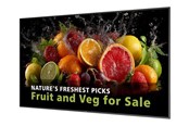 Digital skiltning & Hotel - Philips 86BDL5050D 5000 Series - 86" Class (85.6" viewable) LED-backlit LCD display - 4K - for digital signage - 86BDL5050D/00