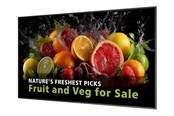 Digital skiltning & Hotel - Philips 75BDL5050D 5000 Series - 75" Class (74.5" viewable) LED-backlit LCD display - 4K - for digital signage - 75BDL5050D/00