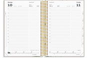 Calendar - Mayland Studie Stor Story dagkalender 2026/2027 - 27804010