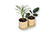 Boligindretning - Simiu TWINDA - Double Planter i beige og lys Oliven - 8,5cm - 5714255012392