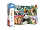 Puslespil - Trefl Puzzle - ANIMAL PLANET - Animal Kingdom (1000 pieces) - TFL10672
