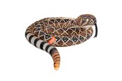 Plys - Wild Republic Plush Toy Living Earth Snakes 152 cm Western Diamondback Rattlesnake - 29346