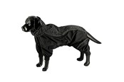 Hunde - Dogman Dot - 757031