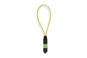 Netværkskabel - StarTech.com Startech loopback adapter - TAA Compliant - black and green - Sort - LOOPBACKMTP12OS2SMM