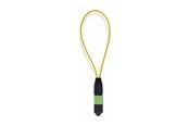 Netværkskabel - StarTech.com Startech loopback adapter - TAA Compliant - blue - Blå - LOOPBACKMTP12OS2SMF