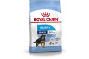 Hunde - Royal Canin Maxi Puppy - 3182550402149
