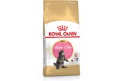 Katte - Royal Canin Maine Coon Kitten- dry cat food - 4 kg - 3182550770958