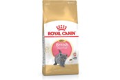 Katte - Royal Canin British Shorthair Kitten cats dry food - 3182550816533