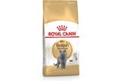 Katte - Royal Canin British Shorthair - dry cat food - 2 kg - 3182550756419