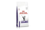 Katte - Royal Canin Dental - dry cat food - 1,5kg - 3182550722308
