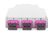 Netværkstilbehør - DIGITUS fibre-optic distribution box - OM4 assembled with SC adapter and pigtail - DN-963850-4