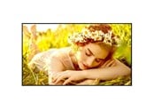Digital skiltning & Hotel - LG 55UL5Q-E Signage Display - 55UL5Q-E