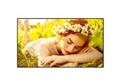 Digital skiltning & Hotel - LG 65UL5Q-E Signage Display - 65UL5Q-E