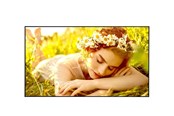 Digital skiltning & Hotel - LG 86UL5Q 86" UHD ADS 500 NITS 24/7 SOC WIFI - 86UL5Q-E