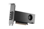 Grafikkort - PNY RTX PRO 2000 Blackwell Small Box - 16GB GDDR7 RAM - Grafikkort - VCNRTXPRO2000-SB