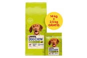 Hunde - PURINA NESTLE Dog Chow Adult Lamb - dry dog food - 14 + 2.5kg - 8445291654679