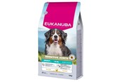 Hunde - Eukanuba Special Care Adult Dogs with Sensitive Joints – dry dog food – 12 kg - 8710255196169