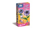 Kreativt Legetøj - Clementoni Create Your Flowers Anemone - 18346