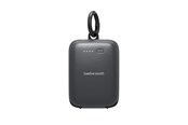 Powerbank - Twelve South PowerClip - Slate - 2000 mAh - TS-2673
